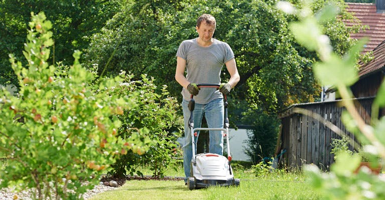 Avoid Pain From Yard Work Mishaps