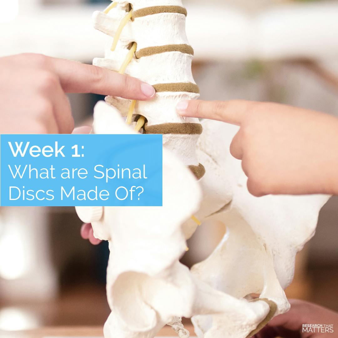 What are your spinal discs made of?
