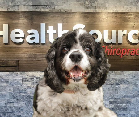Lucy Carroll, beloved office dog at HealthSource of Downtown Mokena.