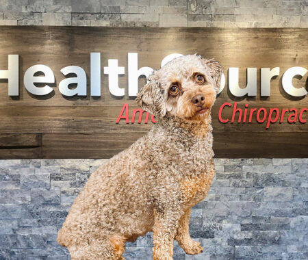 Amara, the HS of North Fargo "Happiness Coordinator" and office dog.